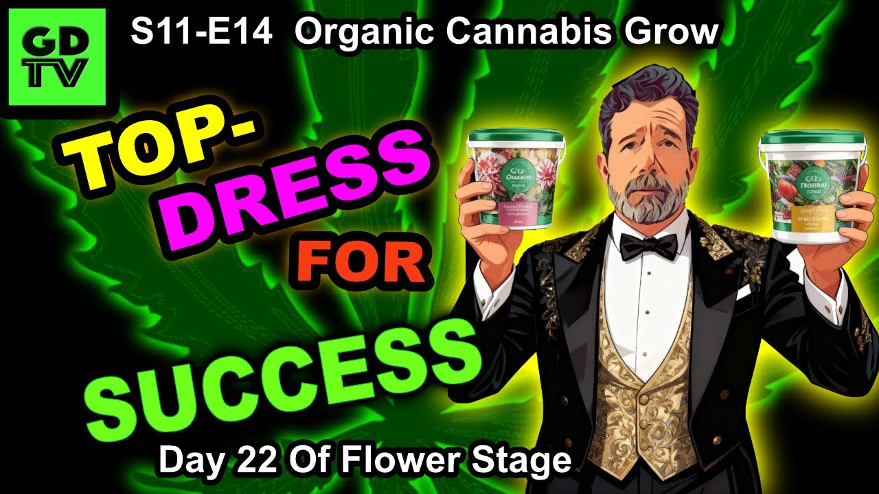 S11-E14 - Day 22 of Flower - Cannabis Grow - Gaia Green  Top Dressing in Flower - Mars Hydro FC4000