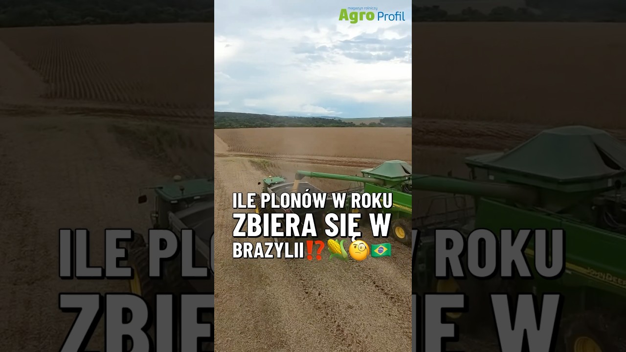 Ile plon&oacute;w w ciągu roku można zebrać w Brazylii?