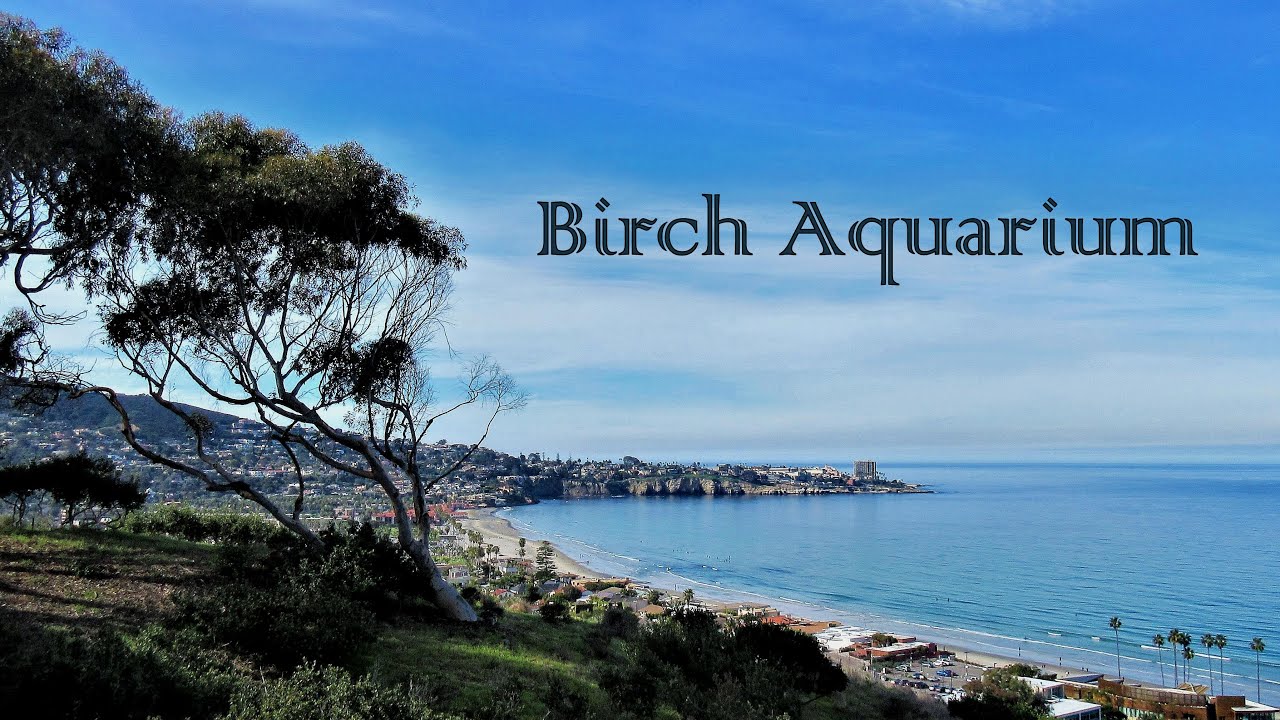 Birch Aquarium: San Diego CA