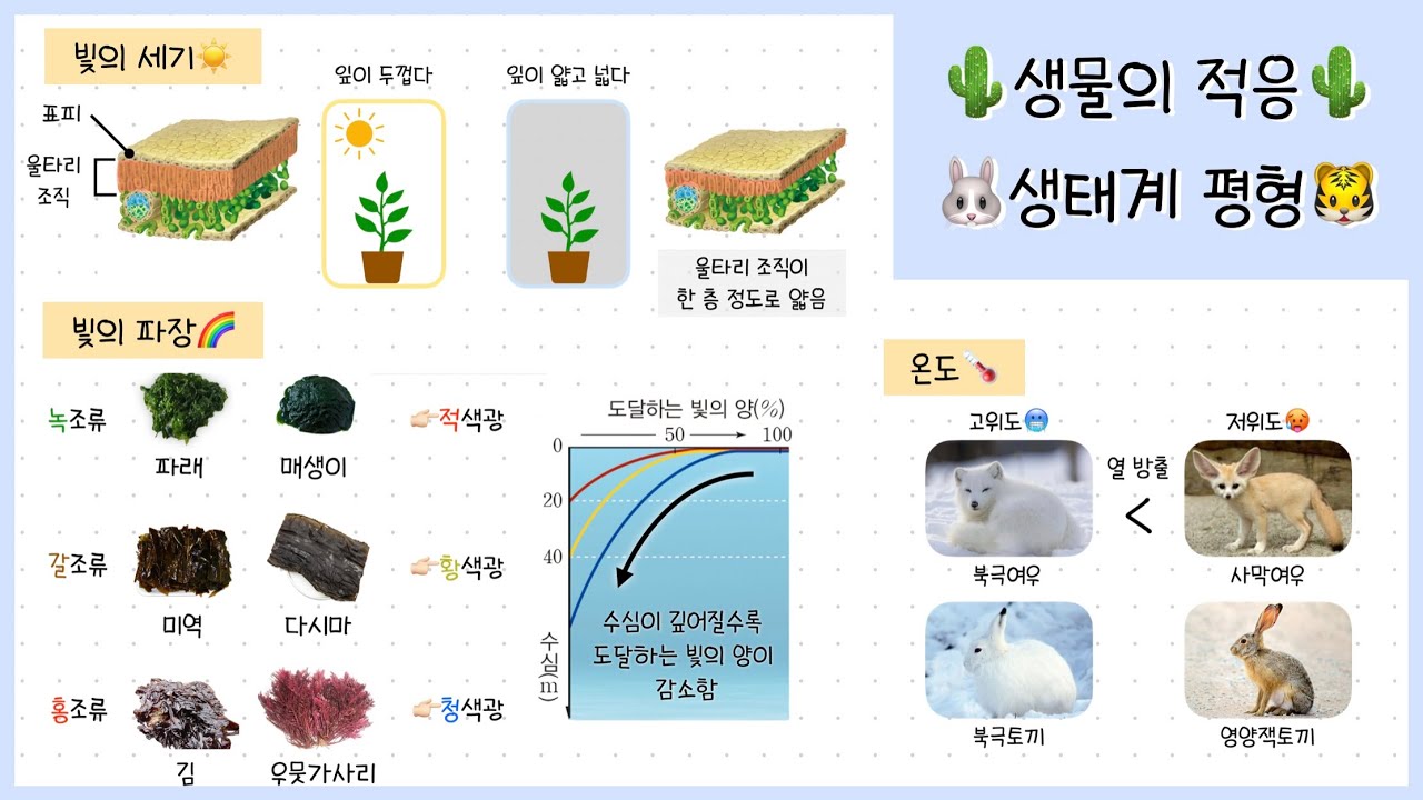 [통합과학② 2단원] 1강. 환경과 생물의 적응🌵⎢생태계 평형⎢생산자🌱, 소비자🦊, 분해자🍄&zwj;🟫