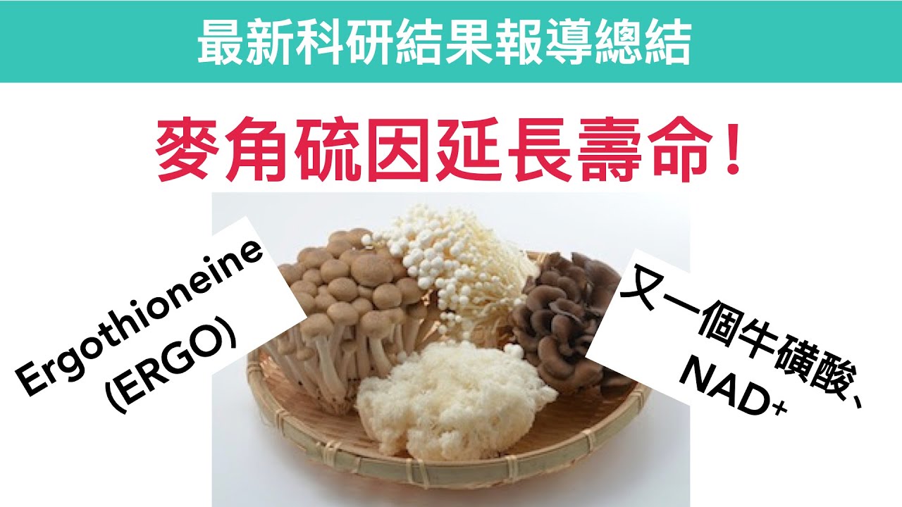 菌菇類食物富含麥角硫因(ERGO）