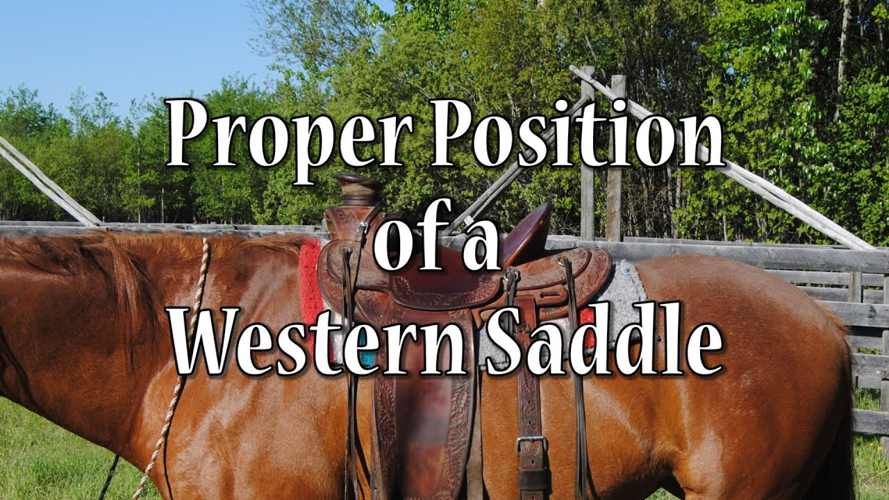Proper Position of a Western Saddle