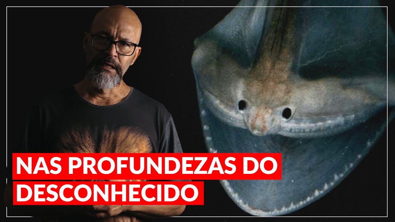 Criaturas Misteriosas das Profundezas