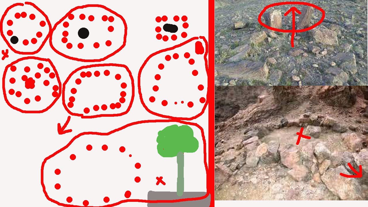 اشارة الحوطة ونواعها