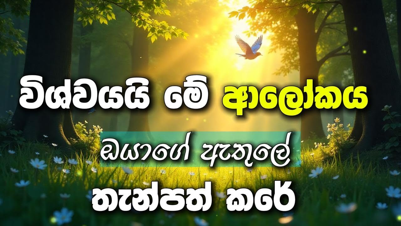 හරිම දුර්ලභයි 0.001% වත් අහන්න වෙන්නේ නැ. ඇහුවොත් දැනගන්න විශ්වයයි මේ ආලෝකය ඔයාගේ ඇතුලේ තැන්පත් කරේ