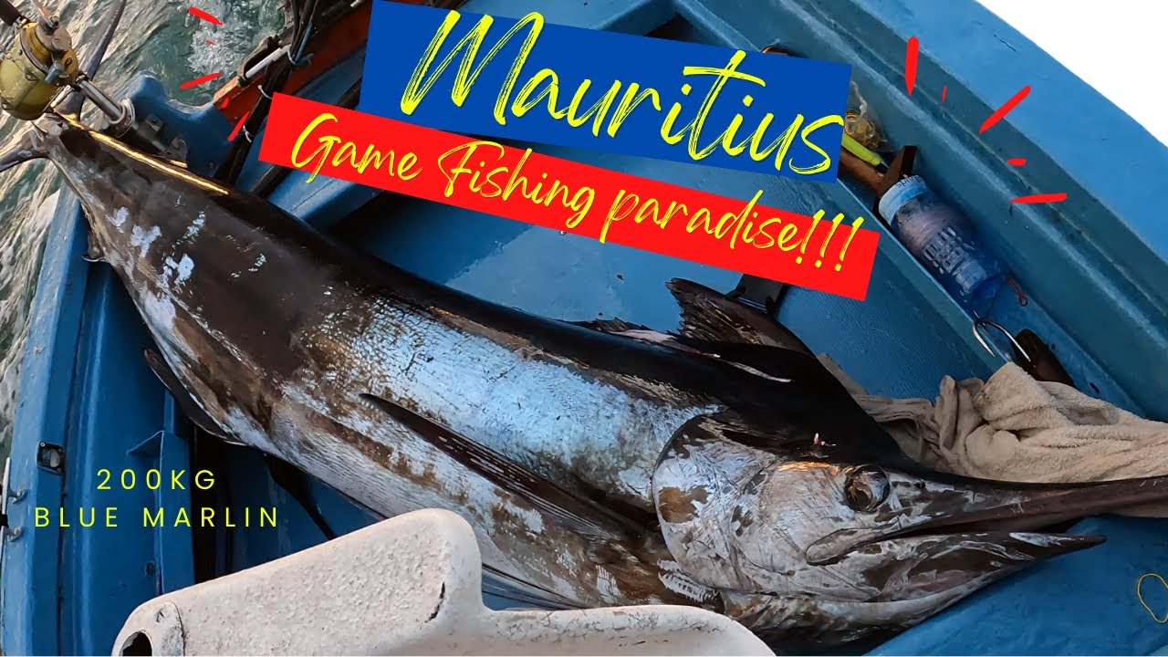 Mauritius Big Game Fishing Paradise! #Mauritius #Gamefishing #Bluemarlin #Fishing #trawling