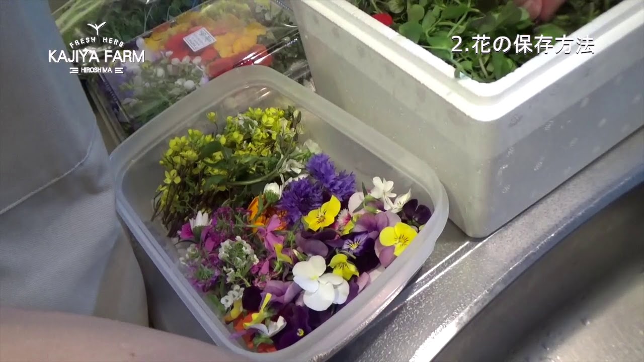 梶谷農園の商品と花の種類紹介、エディブルフラワーとベビーリーフの保存方法
