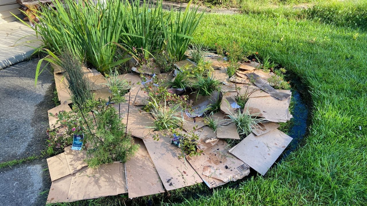Satisfying Garden Makeover *from START to FINISH* DIY Sheet Mulching with Cardboard