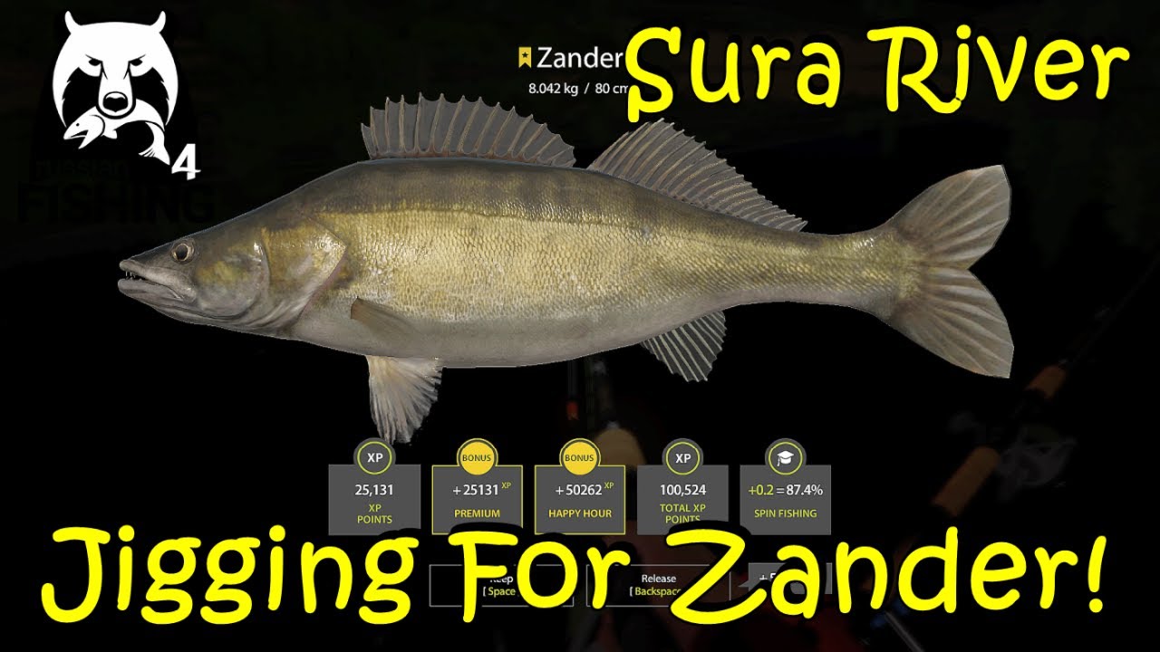 Russian Fishing 4 Sura Zander with a Personal Message from Me