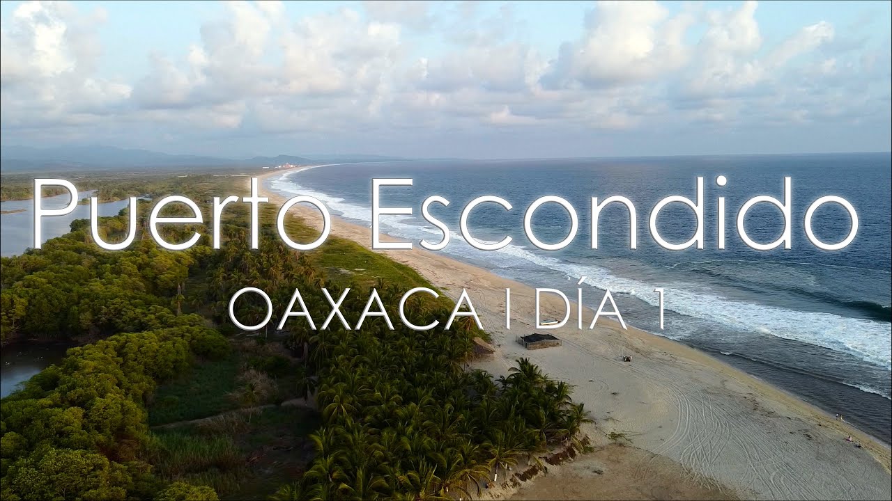 🔴 LIBERAMOS TORTUGAS en las costas de OAXACA! (Puerto Escondido y Laguna de Manialtepec) 😍🌴