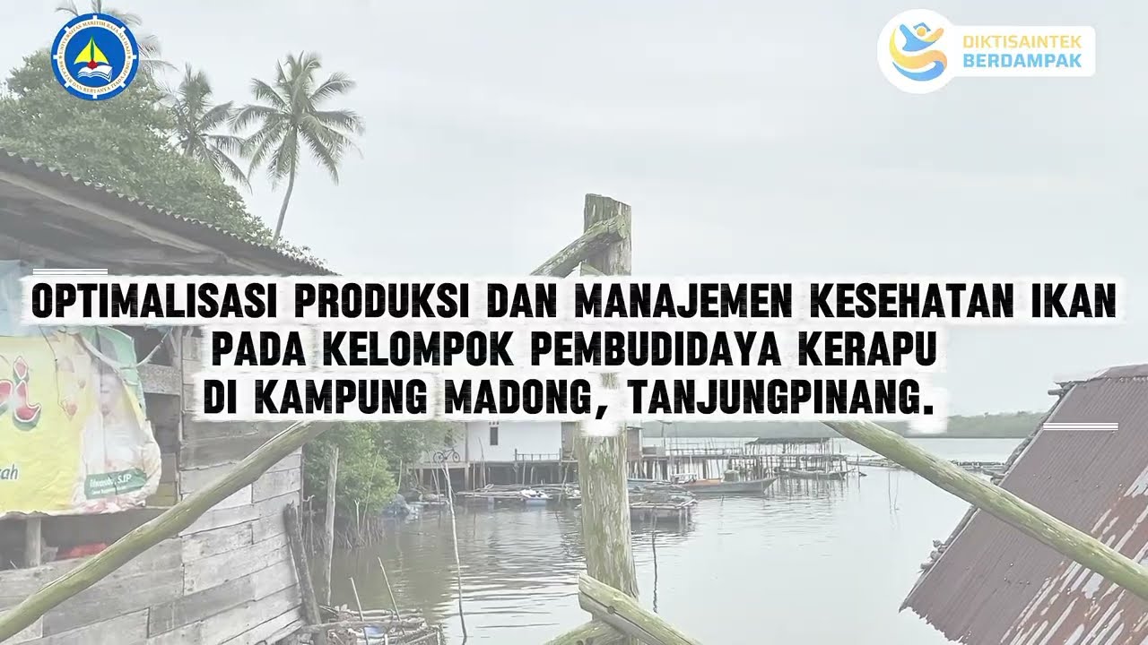Video PKM DPPM Tahun 2025 - Produksi dan manajemen kesehatan ikan kerapu