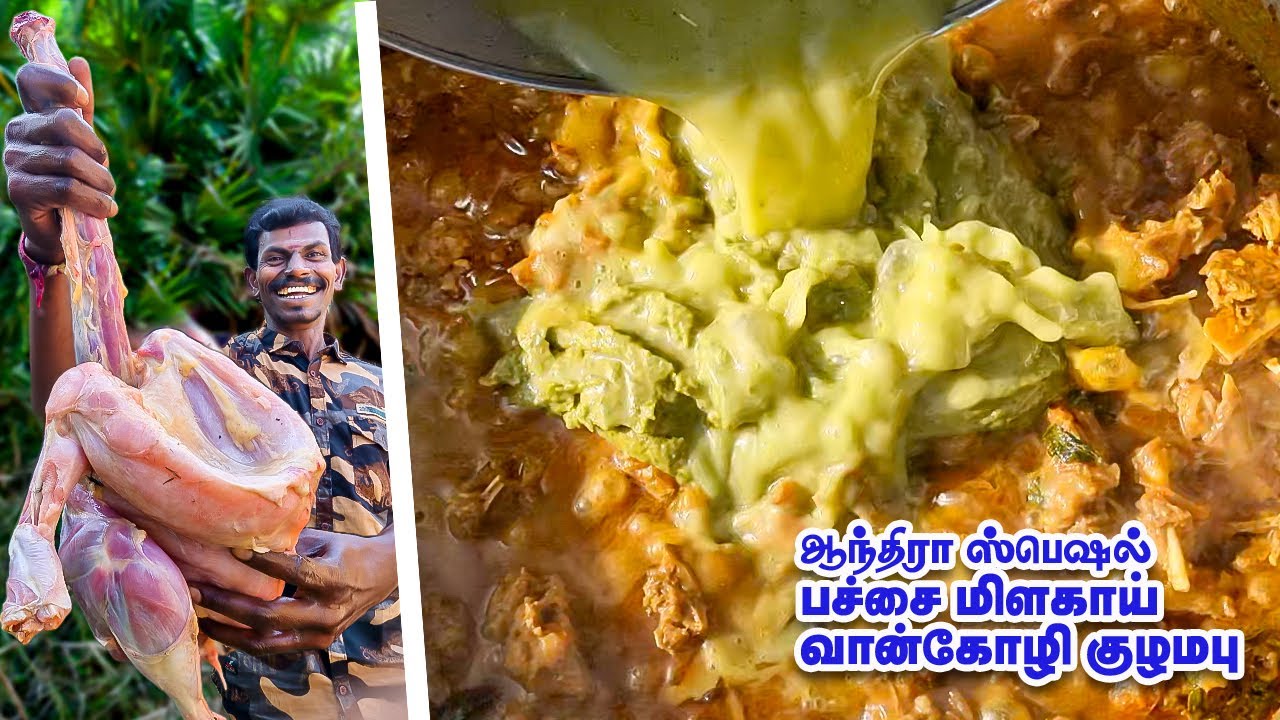 ஆந்திரா பச்சை மிளகாய் வான்கோழி குழம்பு | Andhra Special Green Chilli Turkey Gravy