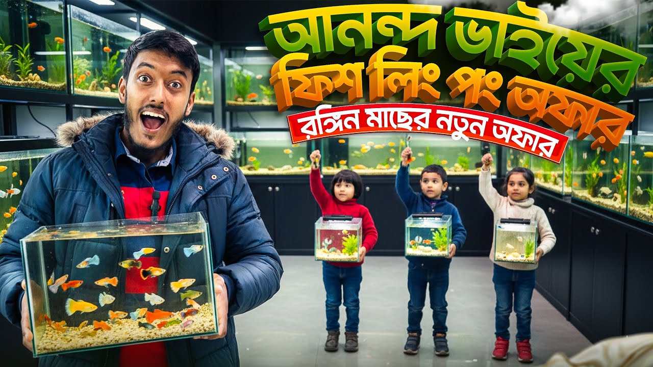 আনন্দ ভাইয়ের ফিশ লিং পং অফার | Aquarium Fish price in Bangladesh | Anondo & Pets 