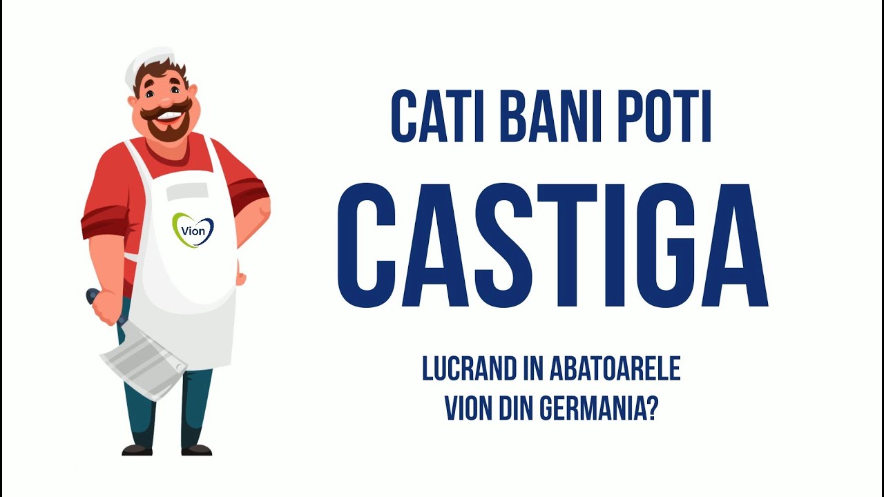 Câți bani poți câștiga lucrând la abatoarele VION din Germania?