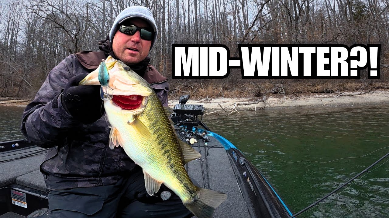 They Were CRUSHING a Crankbait in Mid-January