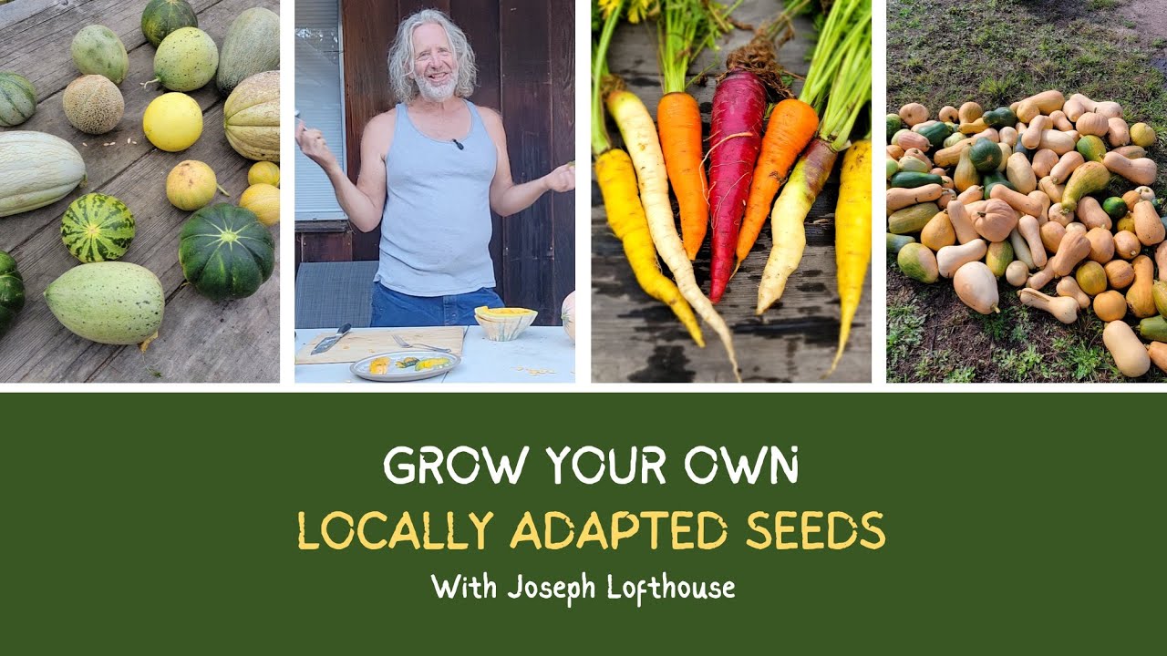 What you need to know to start your own landrace