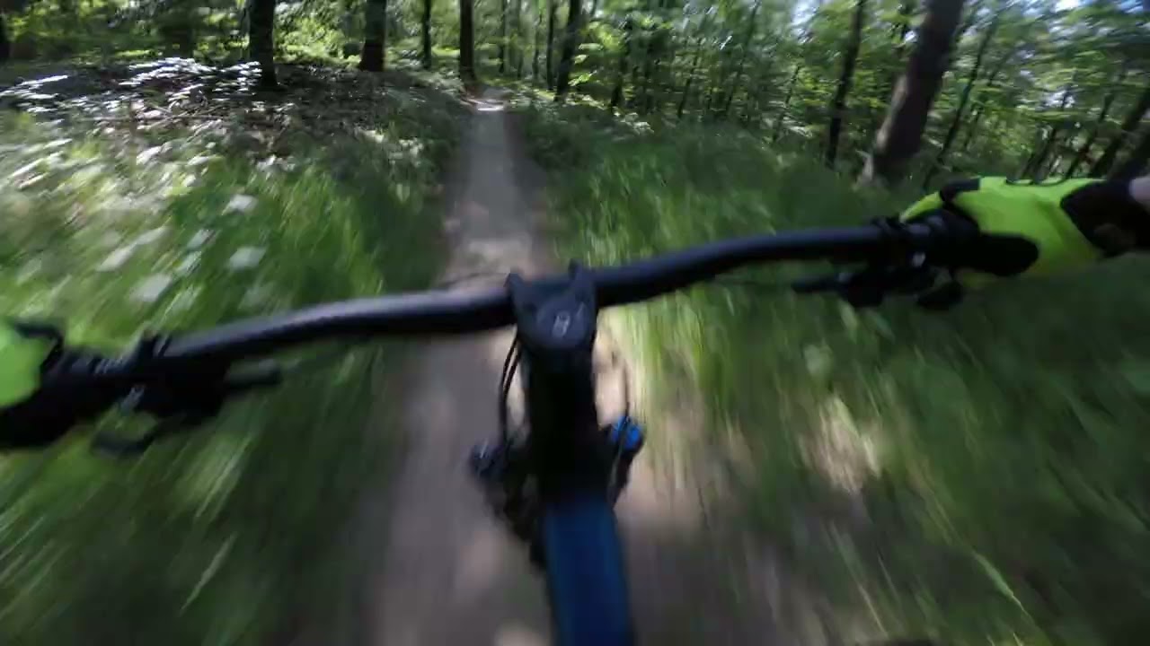 Mosbacher Trails 