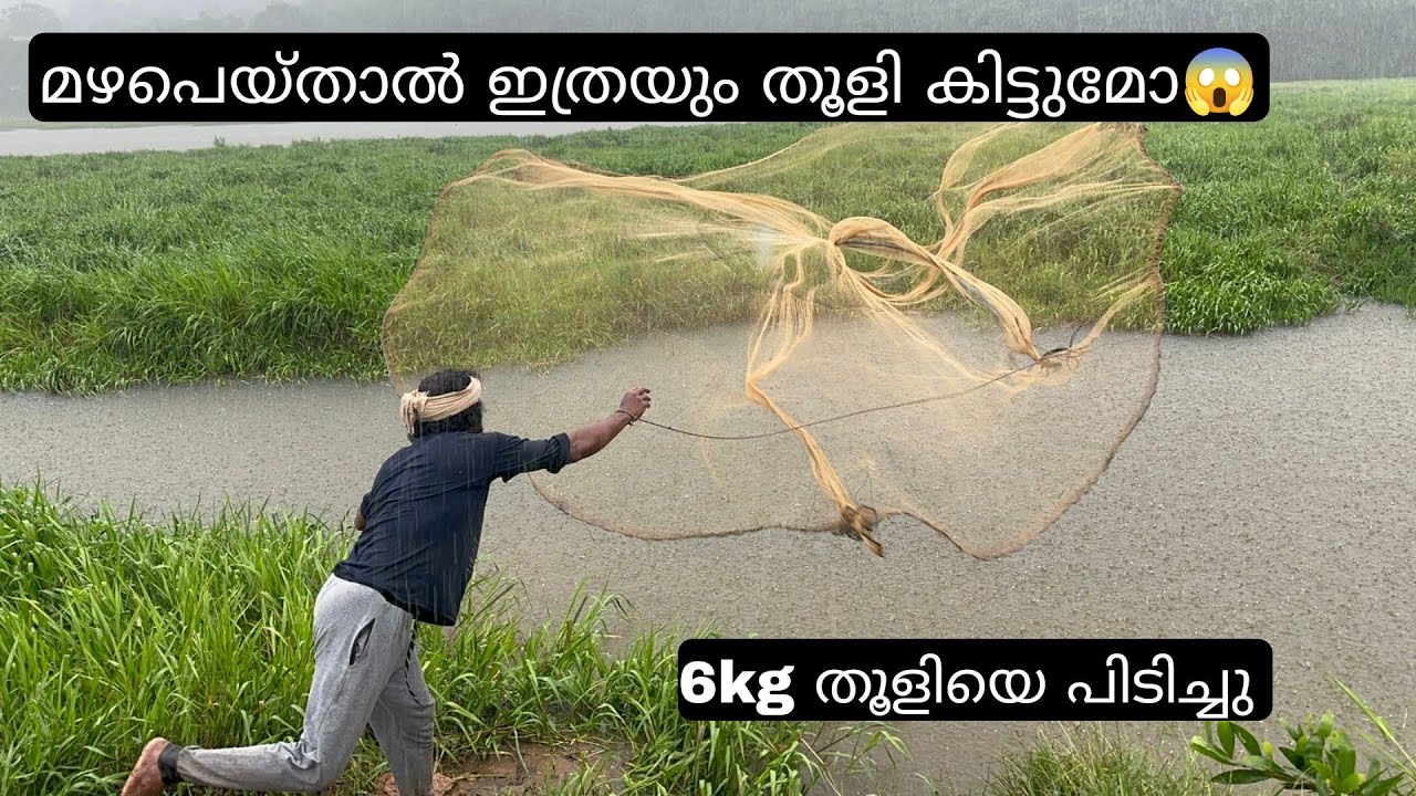 മഴയും തൂളിയും | kerala village cast net fishing | amazing traditional fishing techniques