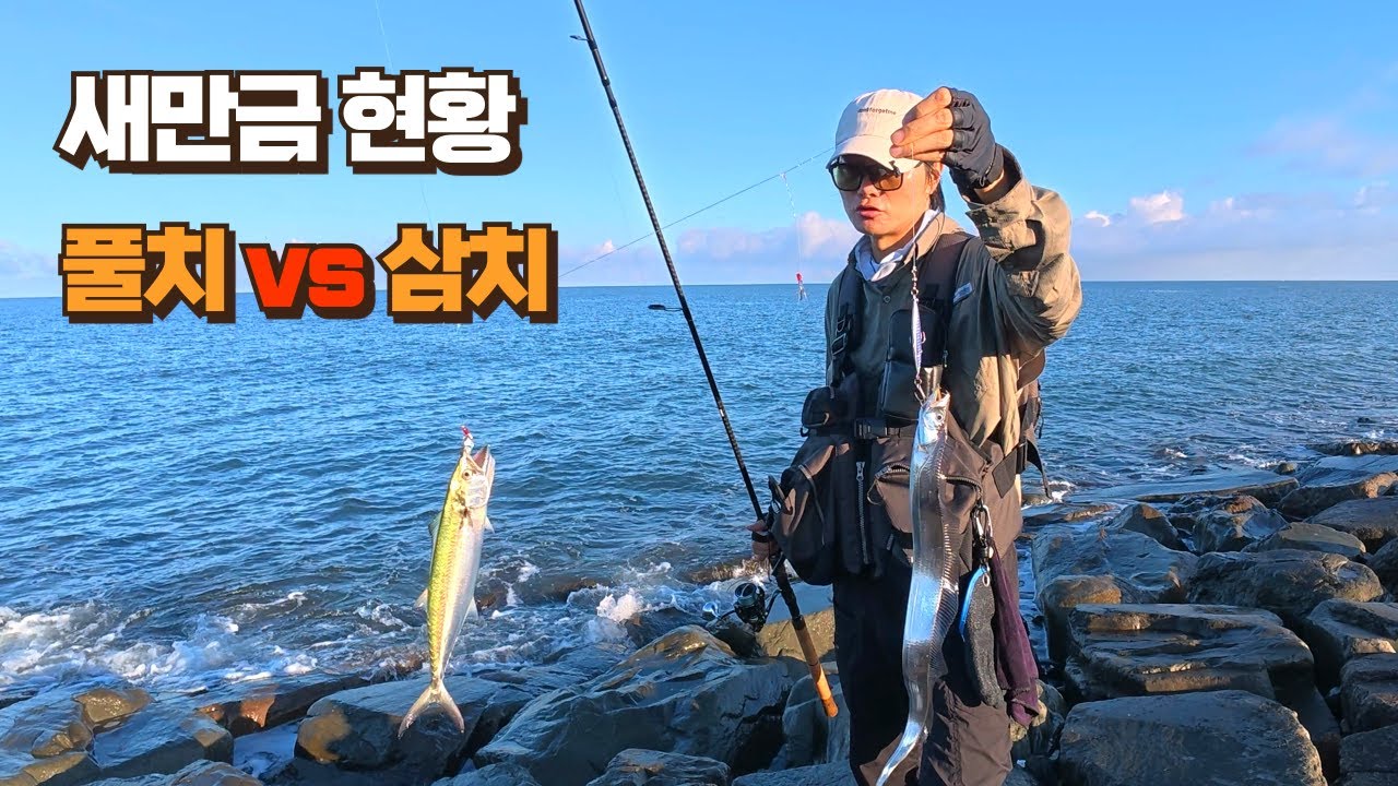 풀치와 삼치 누가 더 잘 자라고 있을까/새만금 낚시