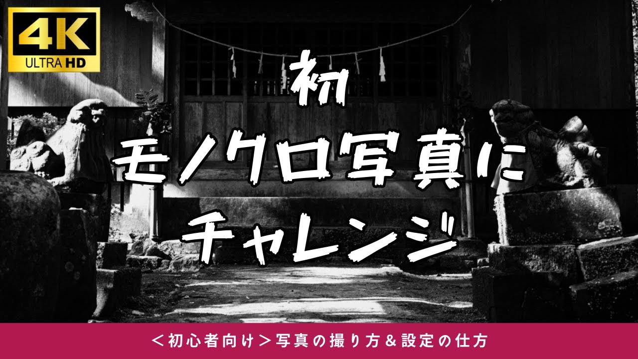 #102 【モノクロ写真に初挑戦】白黒で世界を切り取る！カメラ初心者の記録と気づき