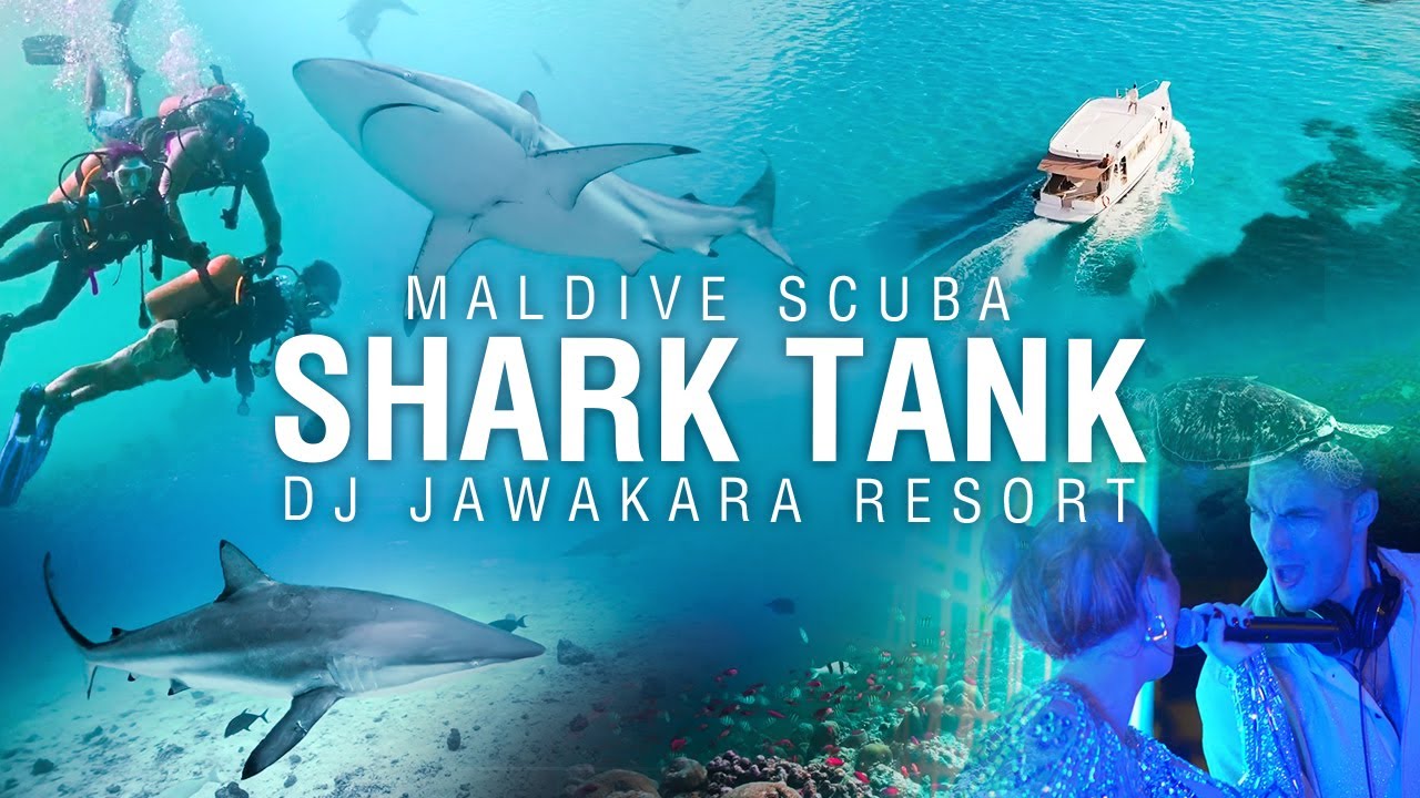 SHARK TANK Maldives Scuba Hulhumale & DJ show Jawakara Kuredo
