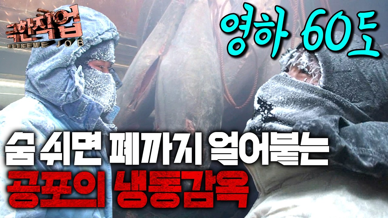 카메라도 3분 만에 터졌다! 영하 60도 초저온 속 60kg 돌덩이와의 사투... 당신은 이곳에서 단 10분이라도 버틸 수 있습니까?｜극한직업