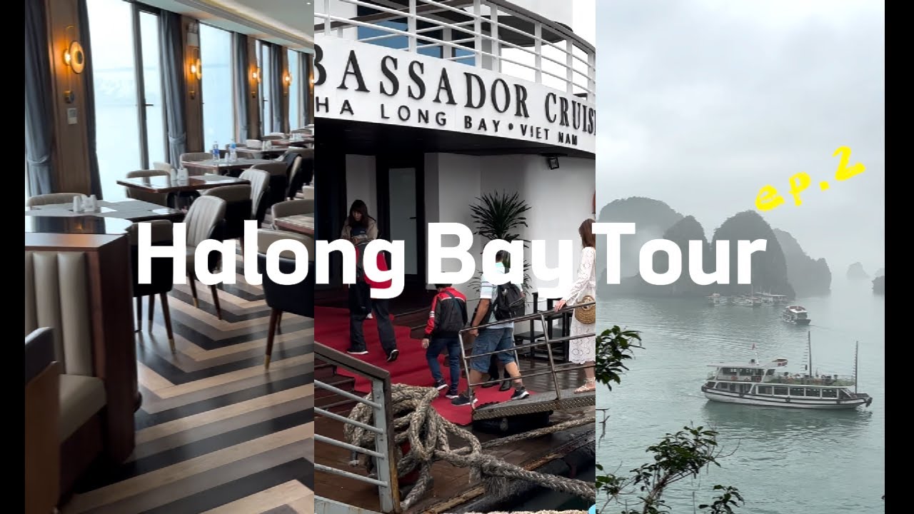 Halong Bay Vlog l 럭셔리 크루즈 원데이 투어 🛳️ l 앰버서더 크루즈 ㅣ하롱베이 크루즈 l 하롱베이 투어