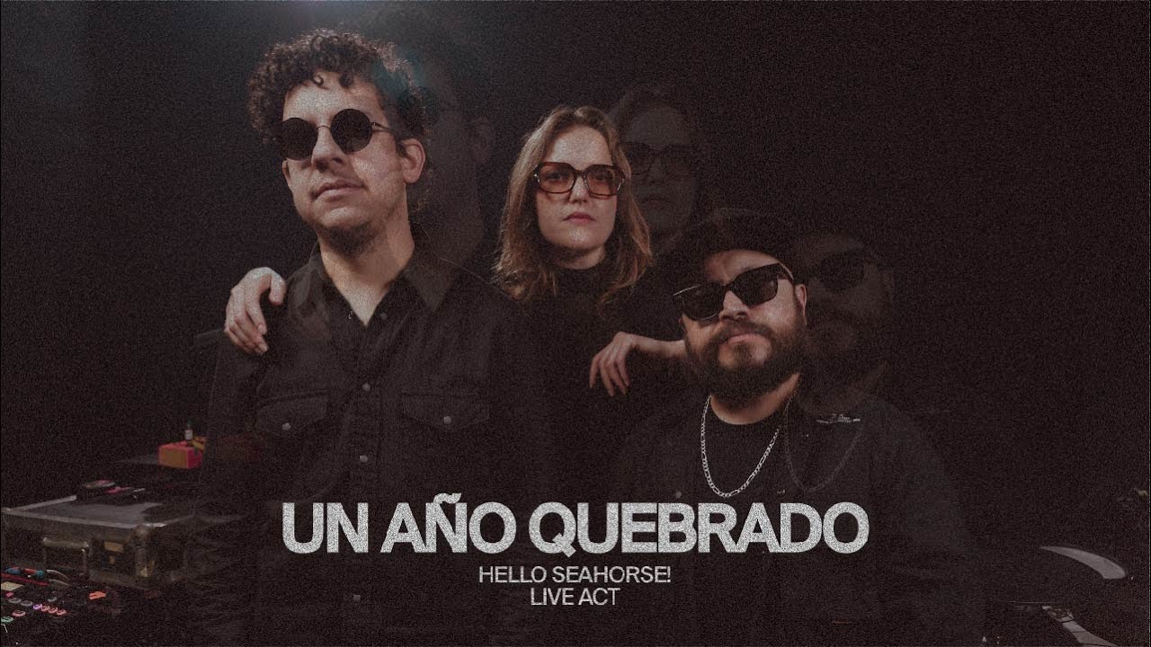 HELLO SEAHORSE! - UN AÑO QUEBRADO (LIVE SESSION)