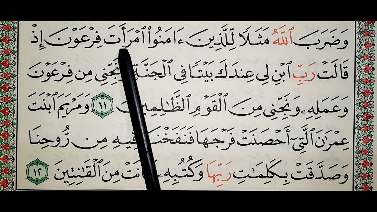 سورة التحريم ١٠_١٢ @QURAN-TEACHER-AR