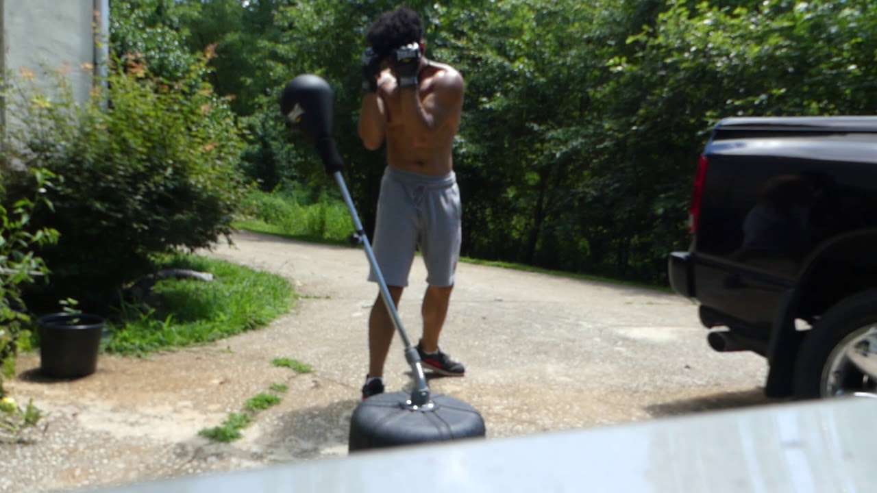 Everlast Reflex Bag Workout/Review