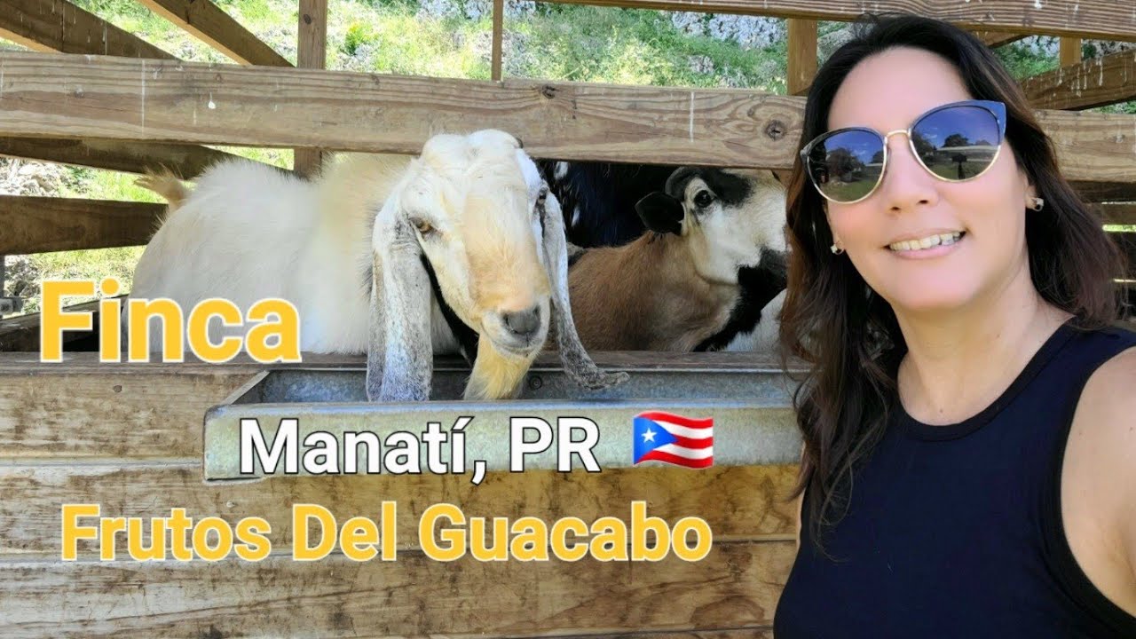 Agricultura Culinaria | Finca Frutos del Guacabo | Manatí, PR