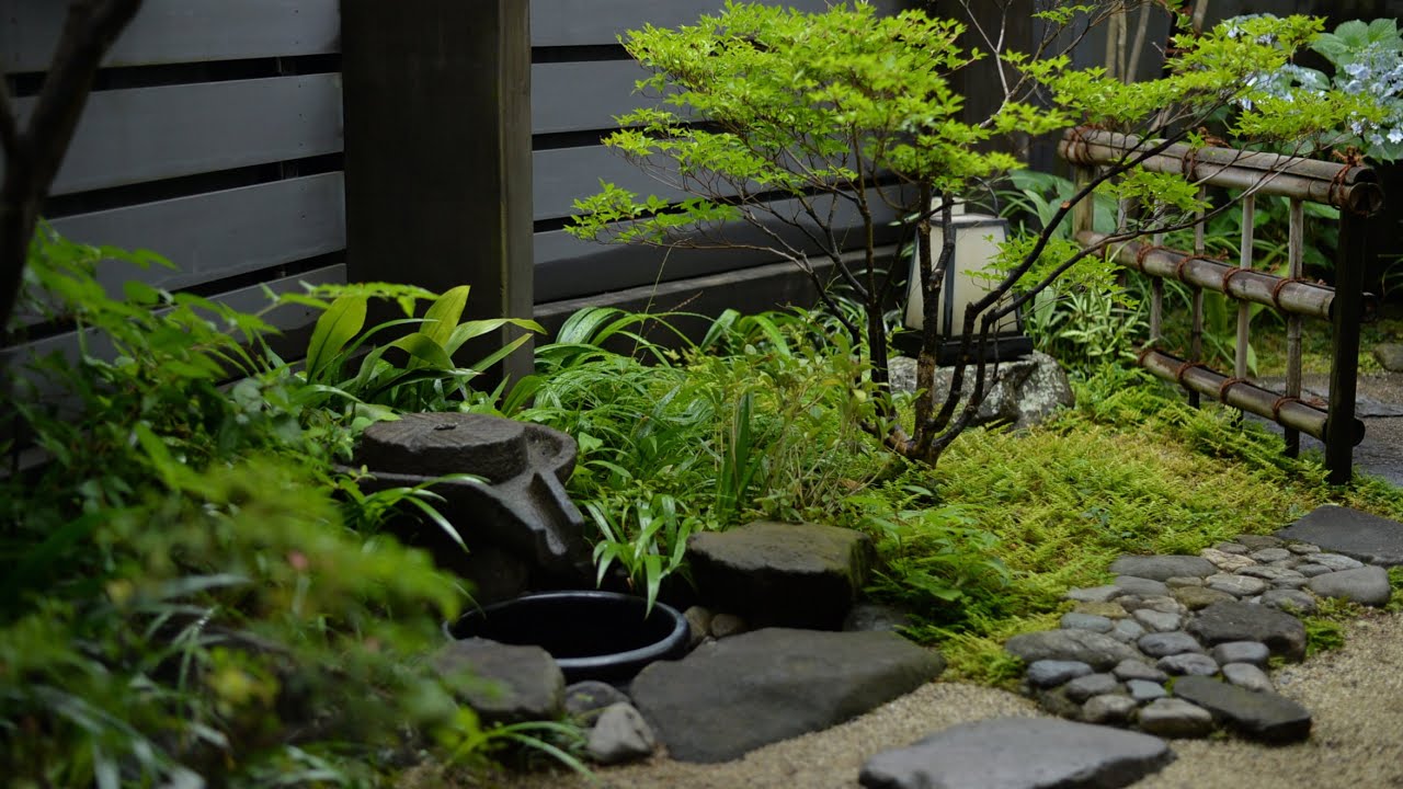 Small garden in the city