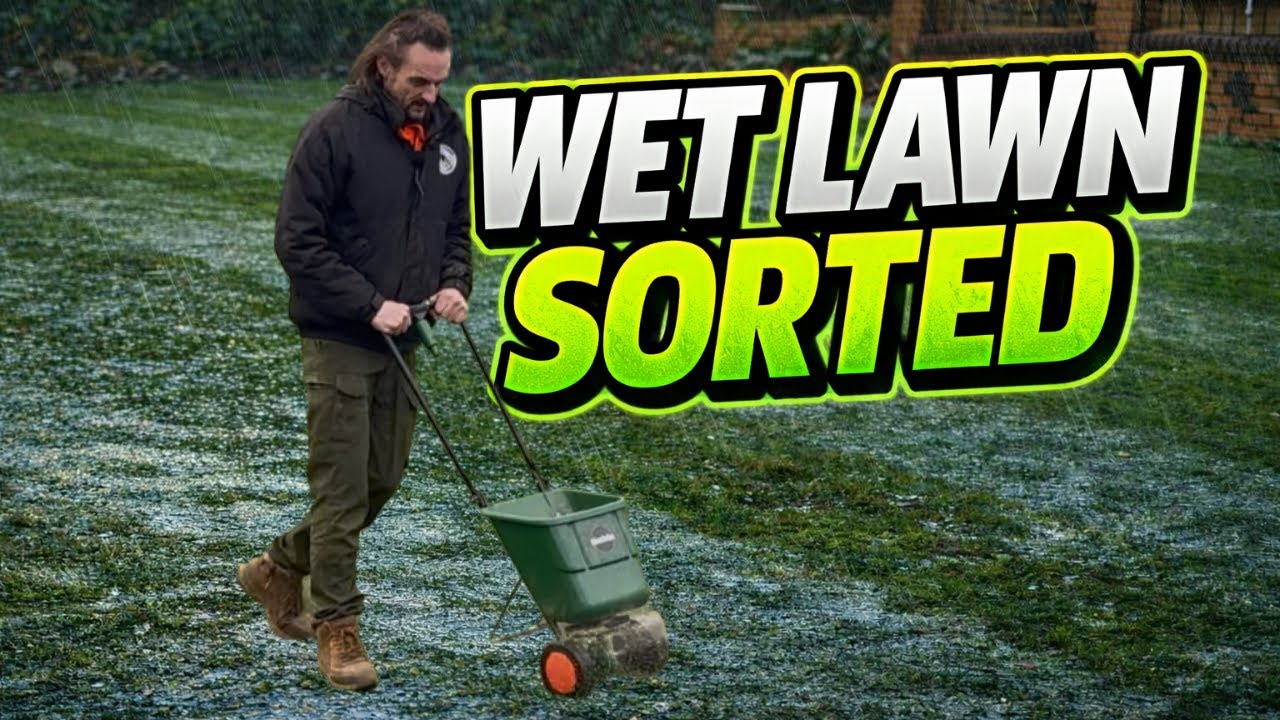 WET? BOGGY LAWN? This FIX Could Be Just What You Need