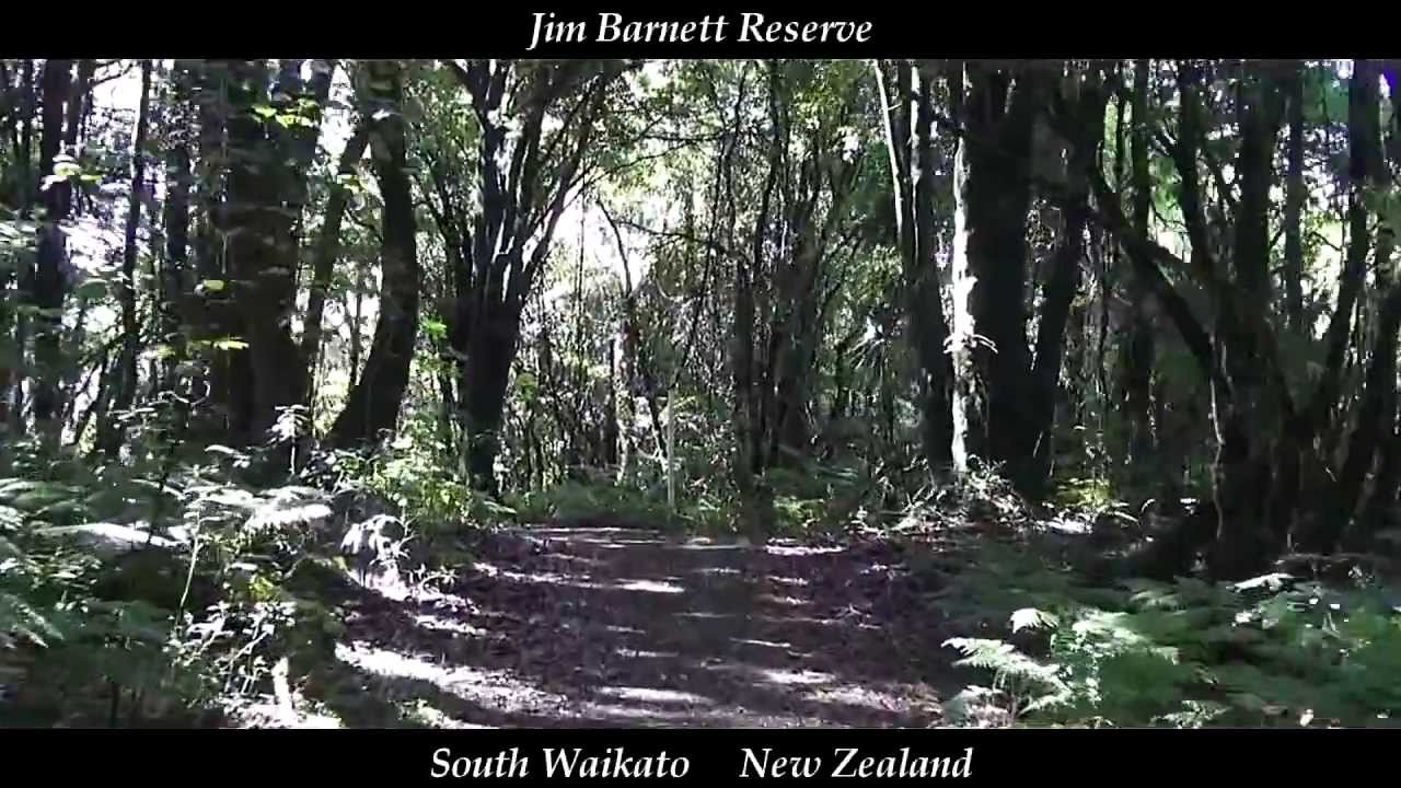 NZ Jim Barnett Reserve, one hour walk in ten minutes