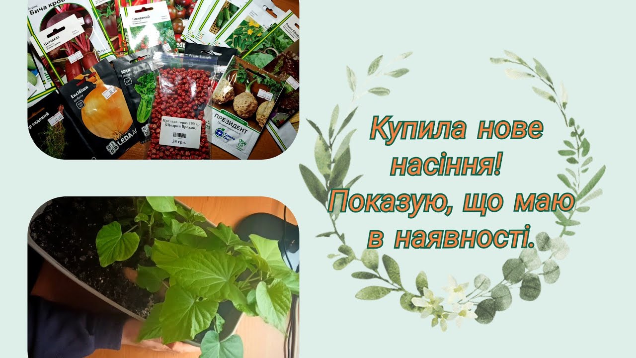 Що я буду садити цього року? Огляд моєї колекції🌿🌾🌱