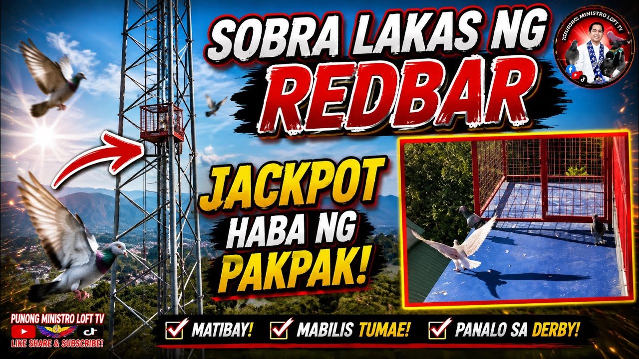 EP1245 JACKPOT LAKAS NUNG REDBAR PAG LABAS PITIK AGAD!