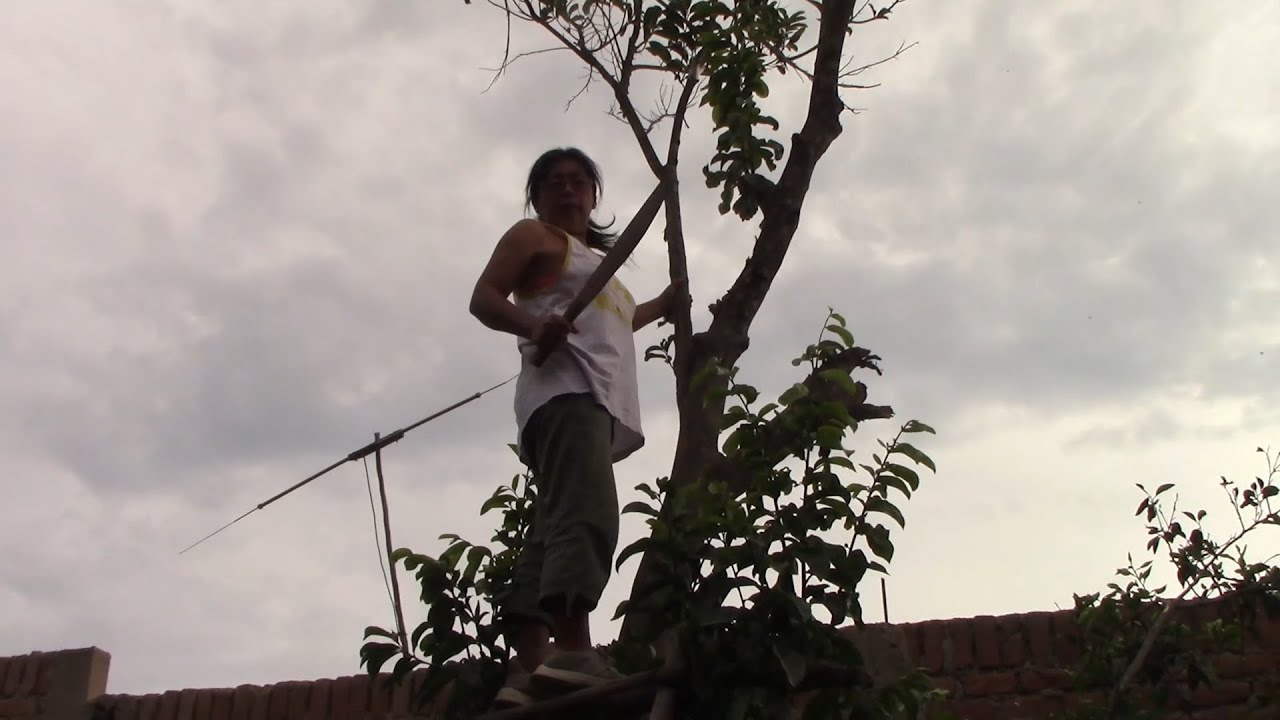 PODANDO ÁRBOL - Magda Zare
