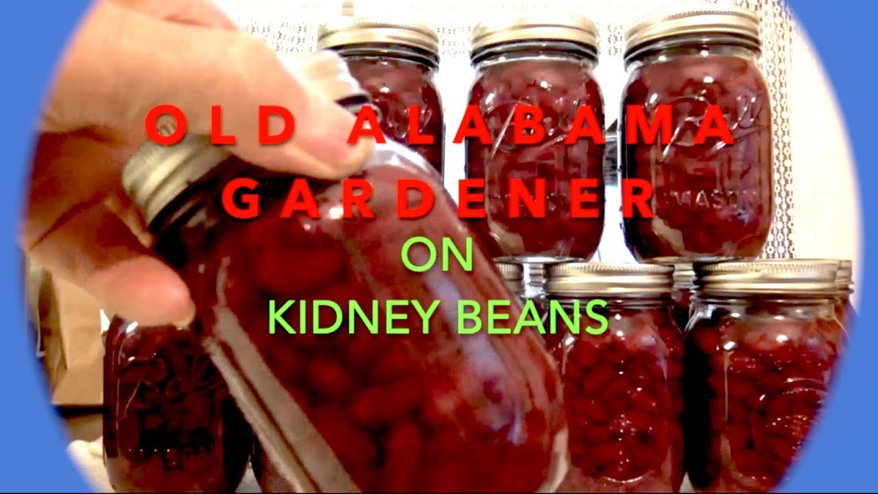 KIDNEY BEANS - PLANTING SEED TO CANNING JAR  **SECRETS** (OAG)