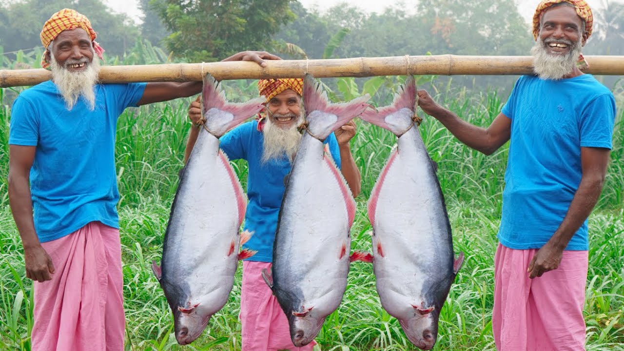 PANGAS Fish Dry Curry - 40 KG 3 Big Pangas Fish Cooking - Ocean Catfish Dry Curry for Special People