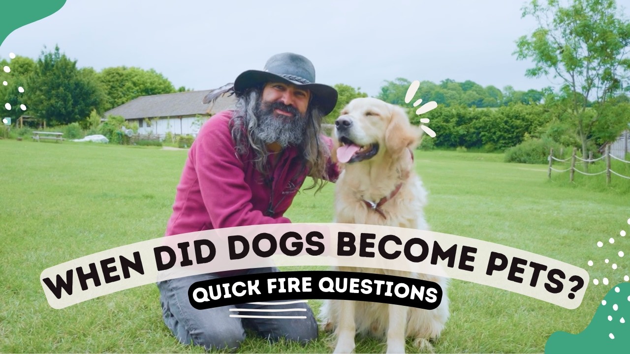 When Did Dogs Become Pets? | Quick Fire Questions
