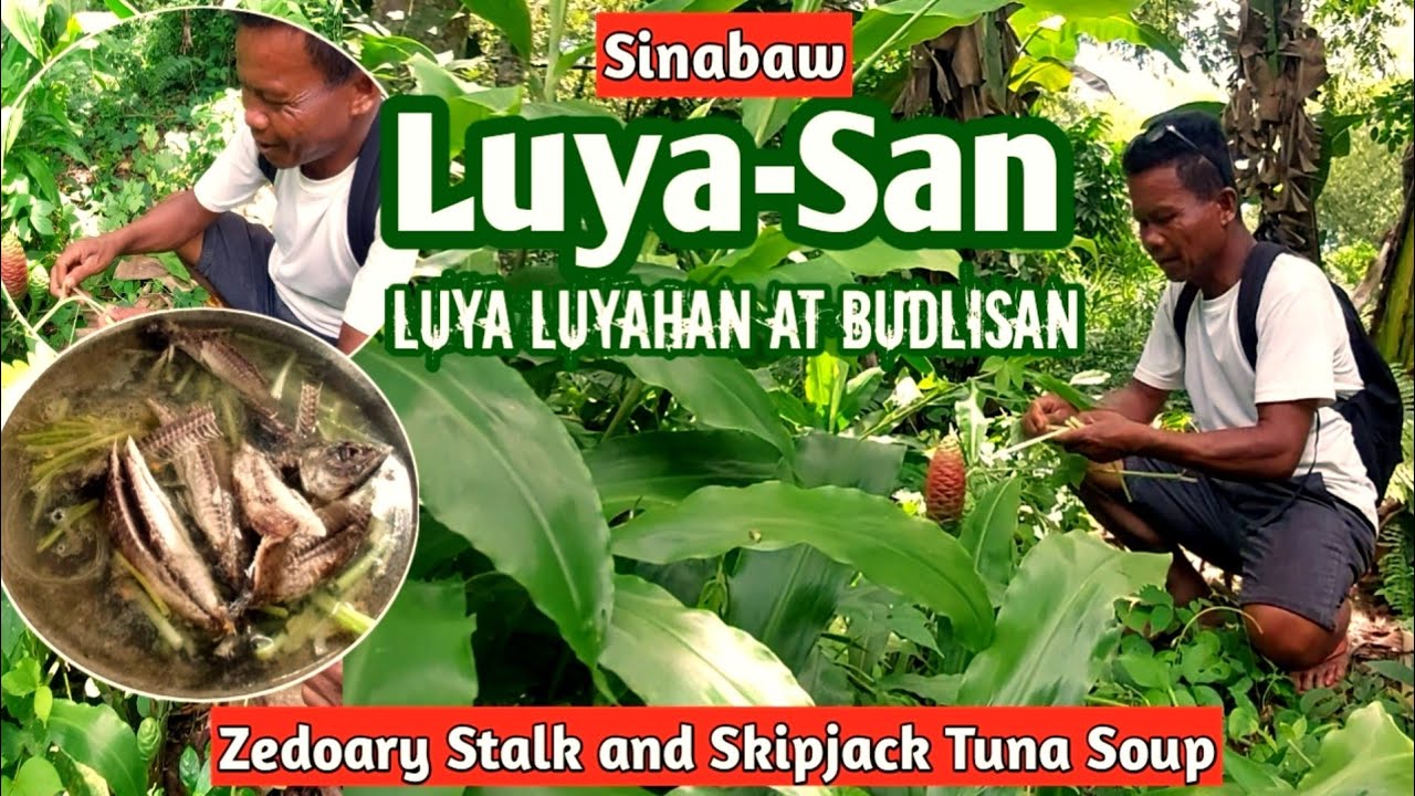 Luya Luyahan At Budlisan Soup | Zedoary Stalk And Skipjack Tuna Soup | Province Life