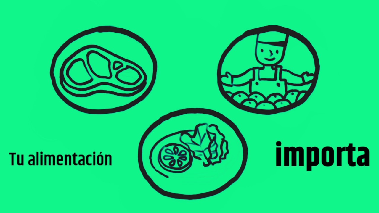&iquest;C&oacute;mo el consumo responsable nos ayuda a cuidar el medio ambiente?