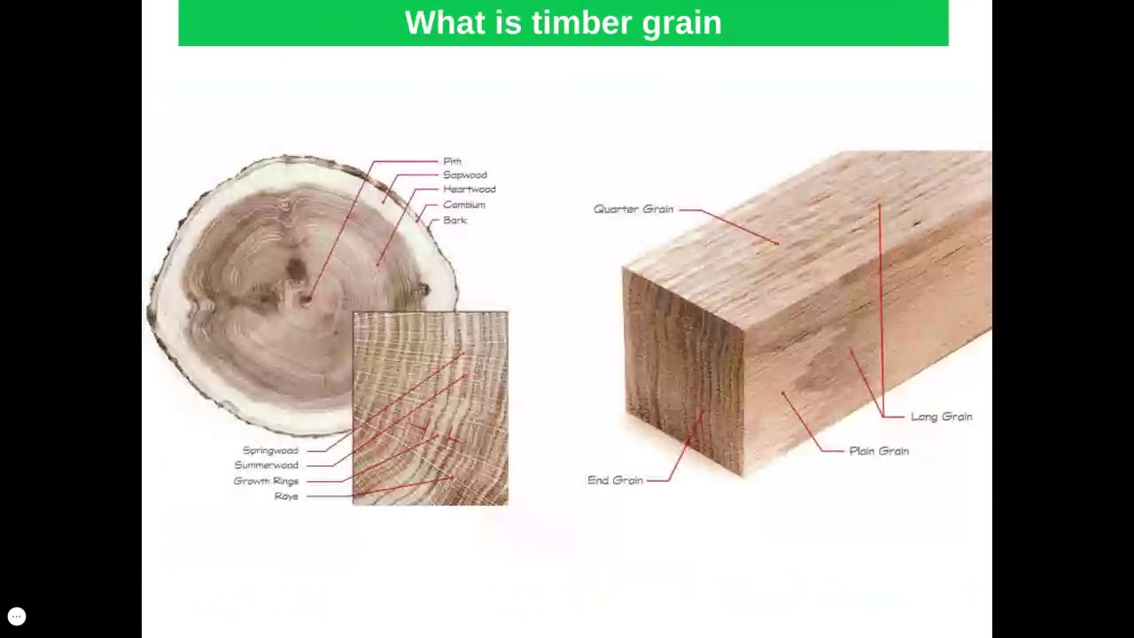 Timbers - Classification, Properties and Uses