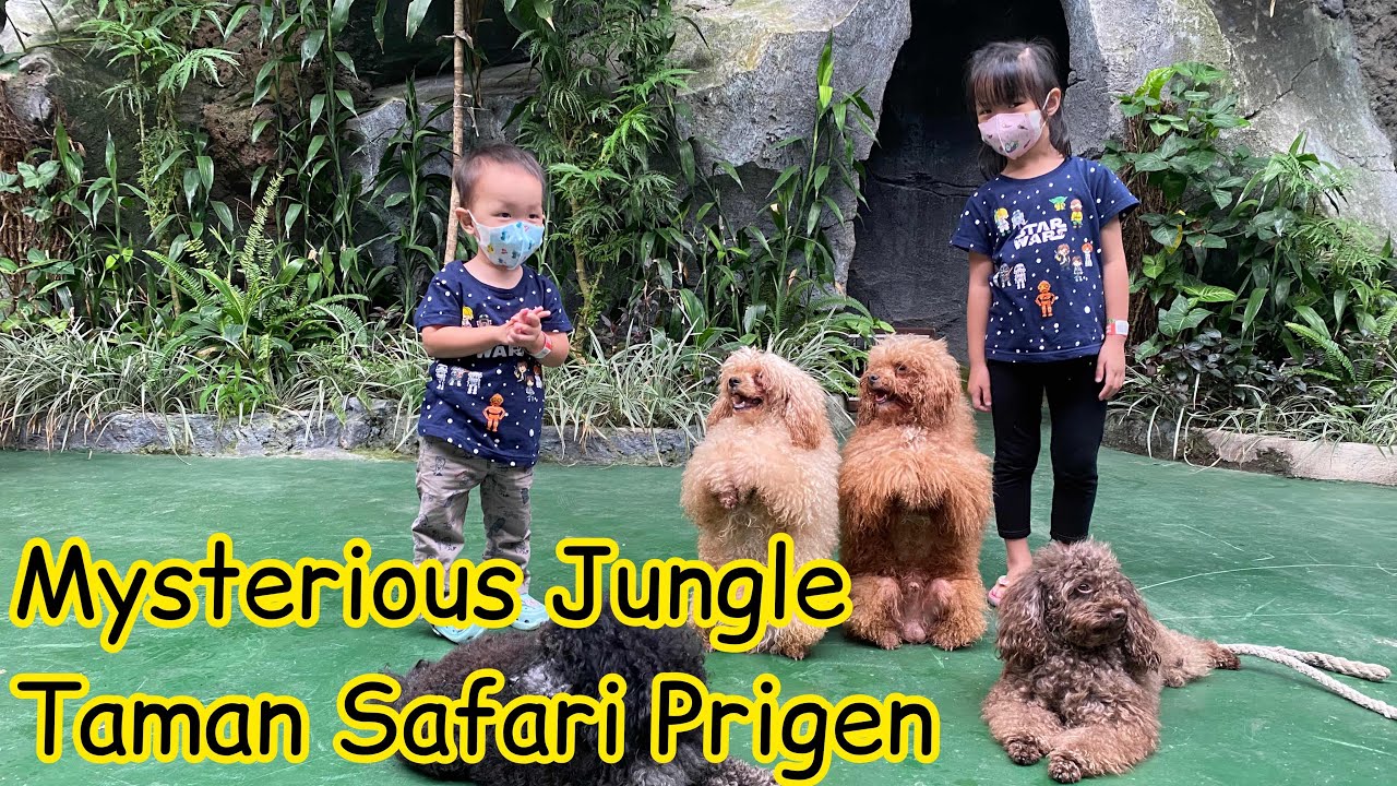 Taman Safari Prigen | Mysterious Jungle | Part 2