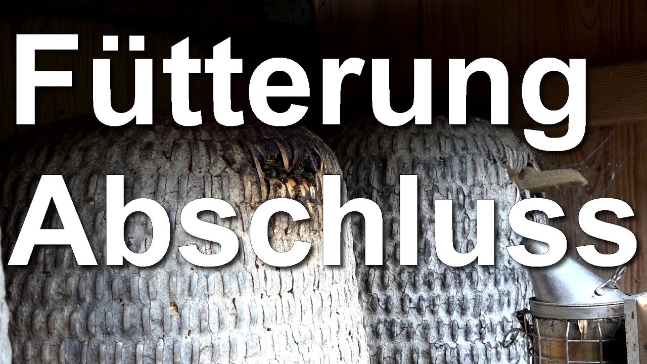Abschluss der Auffütterung der Bienen - Bienenkorb, Mini Plus und Blätterstock