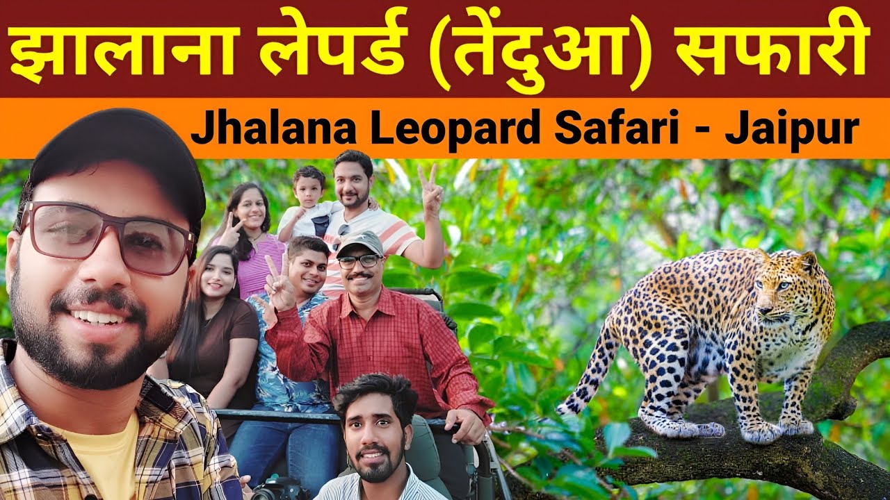 Jhalana leopard safari | Jaipur Rajasthan | Jungle Safari | Leopard Safari Booking ,Ticket price