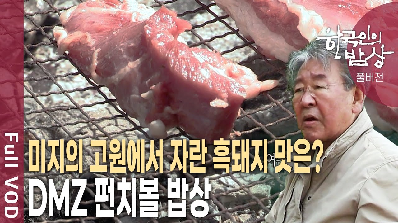 DMZ 펀치볼 흑돼지 밥상!  멧돼지+ 흑돼지 '교배종' 지구상 최고의 육질~  [한국인의밥상 KBS 20170608 방송]