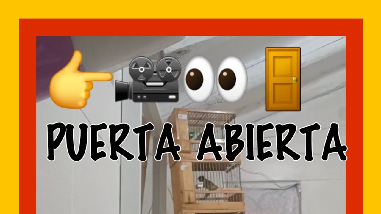 Los CELEDONIO a puerta 🎥🚪👀 ABIERTA,no se dejan ganar.