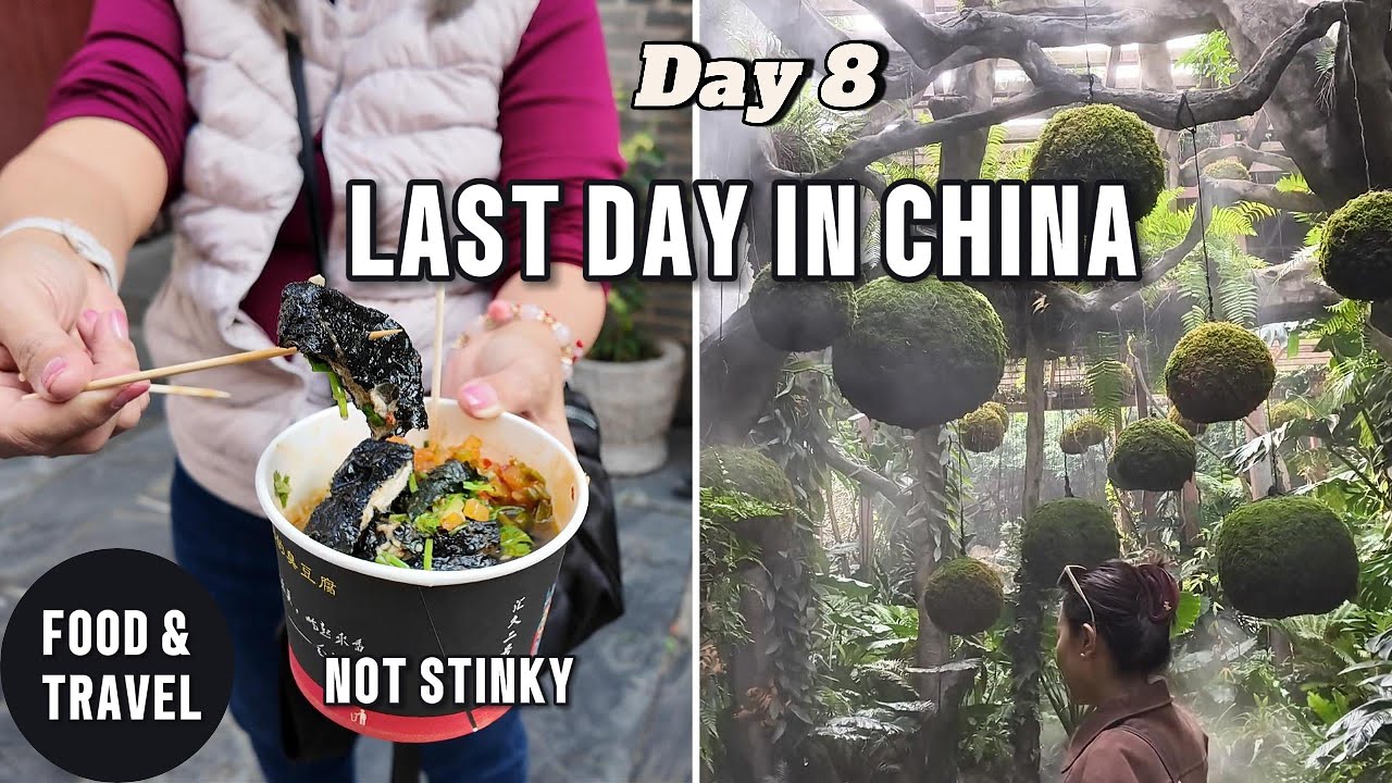 8 Days in Yunnan China | Day 8: Nanning Highlights & Huge Snack Haul!