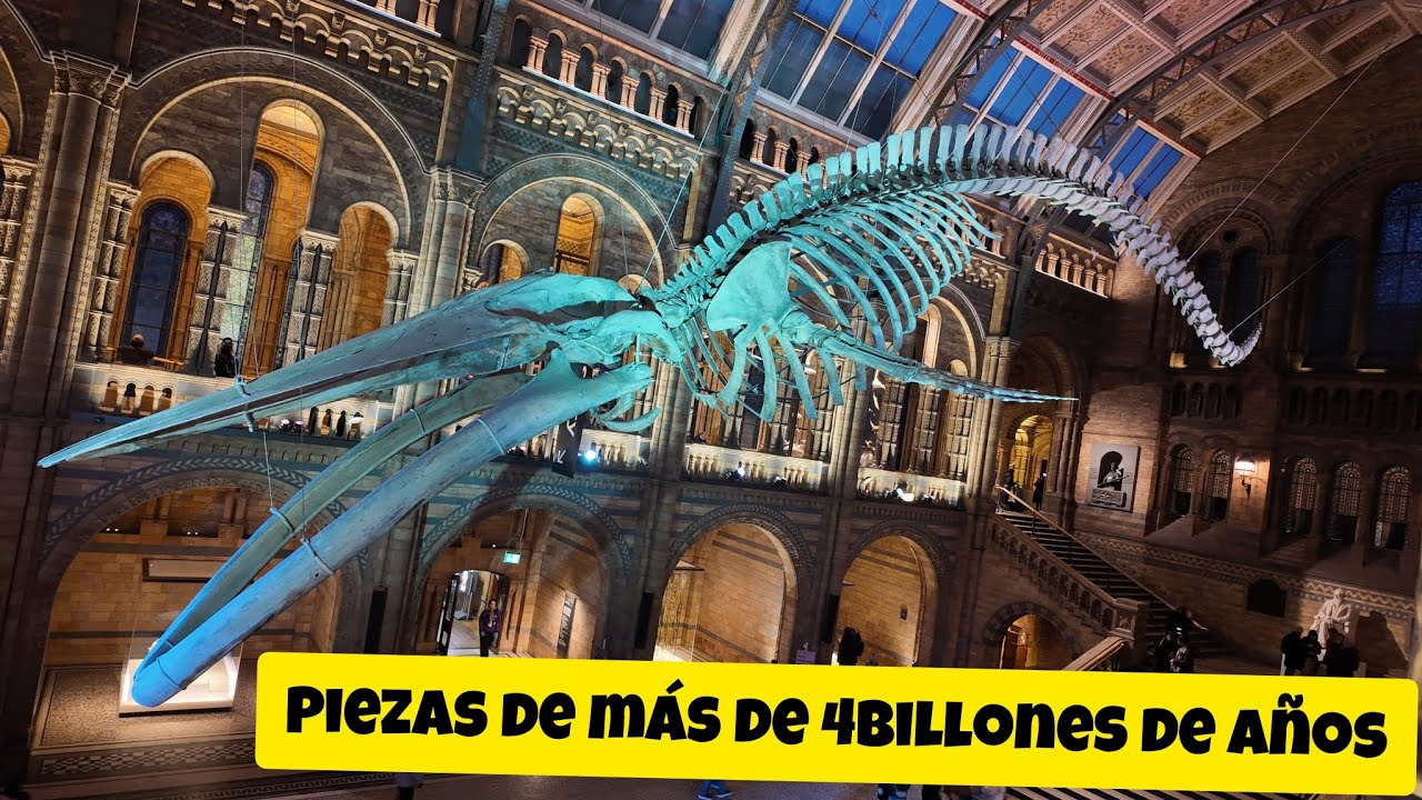 Museo de historia natural de Londres